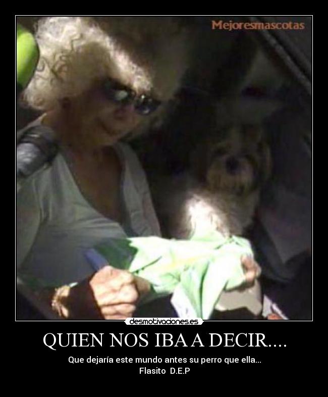 QUIEN NOS IBA A DECIR.... - Que dejaría este mundo antes su perro que ella...
Flasito D.E.P