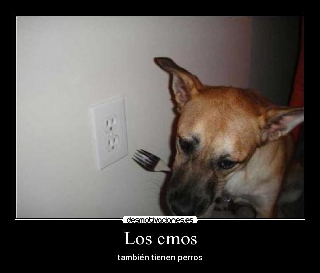 Los emos - también tienen perros