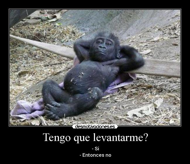 Tengo que levantarme? - - Si
- Entonces no