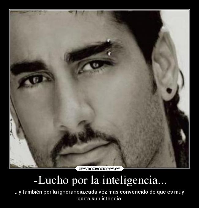 -Lucho por la inteligencia... -