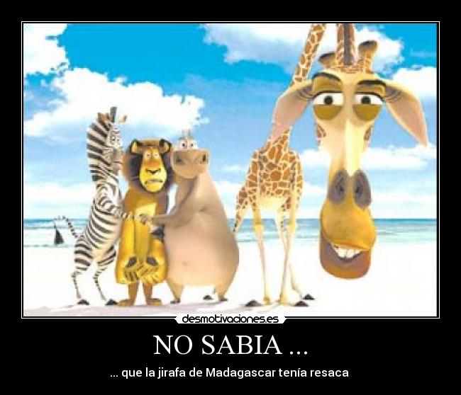 NO SABIA ... -