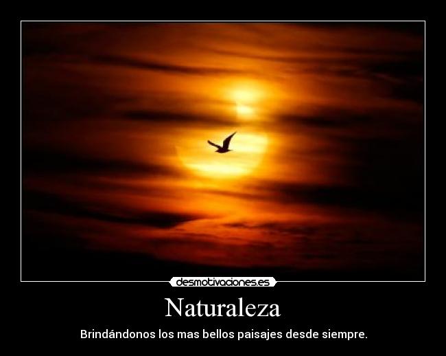 Naturaleza - 