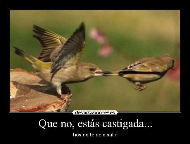 Que no, estás castigada... - 