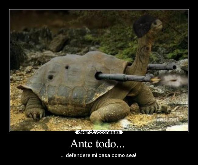 Ante todo...  - 