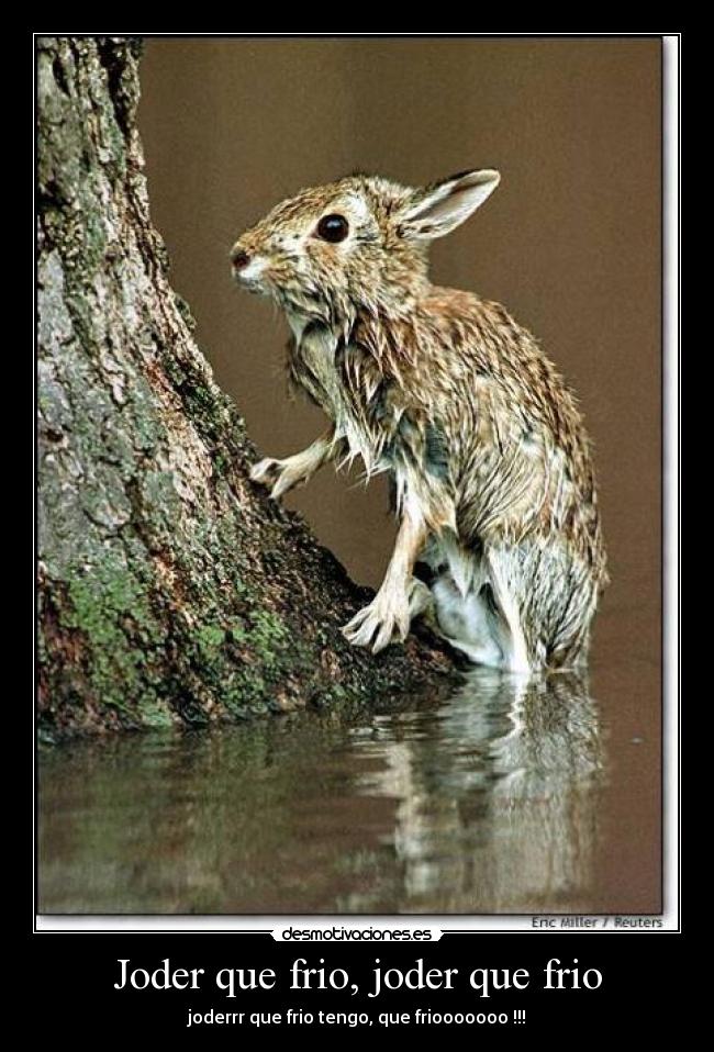 carteles misterrrrrisa desmotivaciones