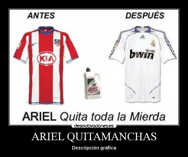 carteles ariel desmotivaciones