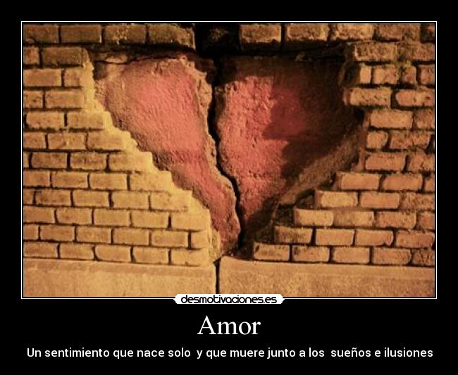 Amor -