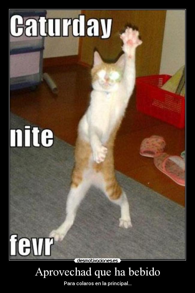 Aprovechad que ha bebido -
