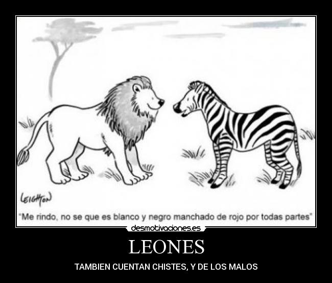 LEONES - 