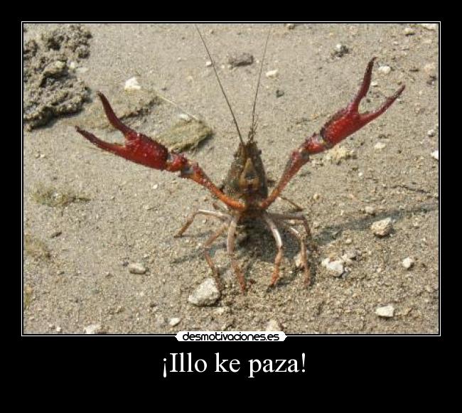 ¡Illo ke paza! -