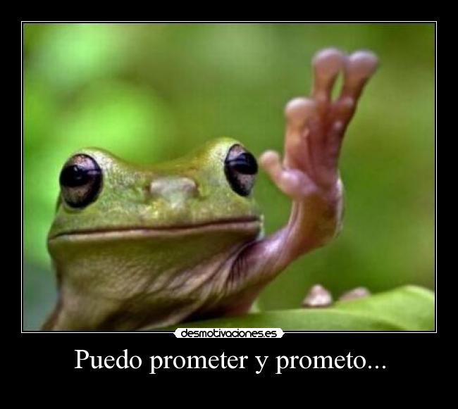 carteles rara promesas desmotivaciones