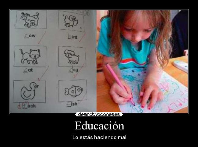 Educación -