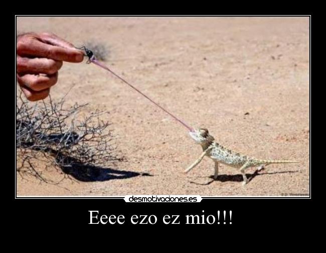 Eeee ezo ez mio!!!  - 