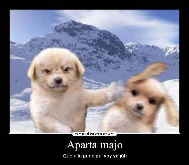 Aparta majo - 