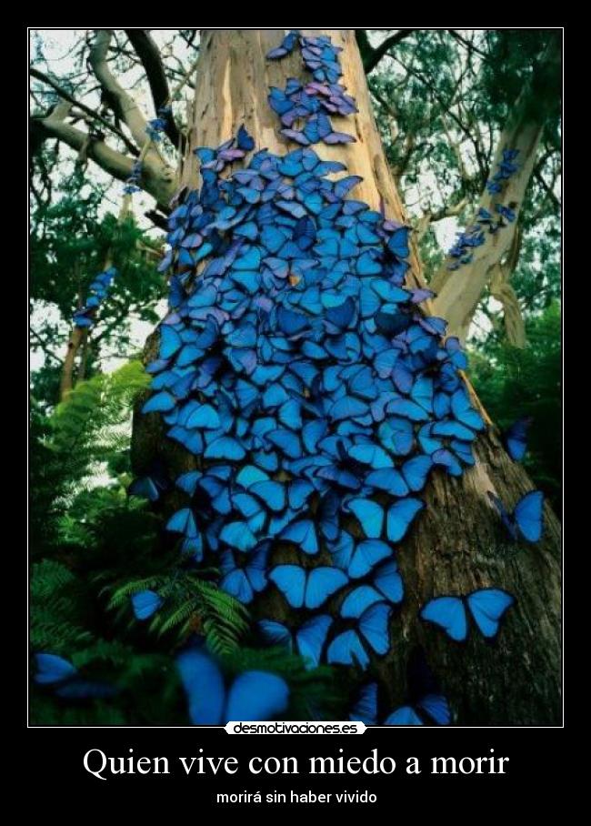 Quien vive con miedo a morir - 