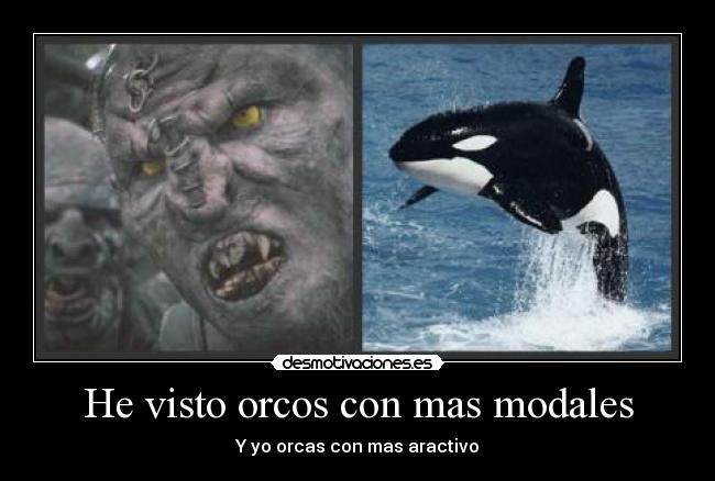 He visto orcos con mas modales - Y yo orcas con mas aractivo