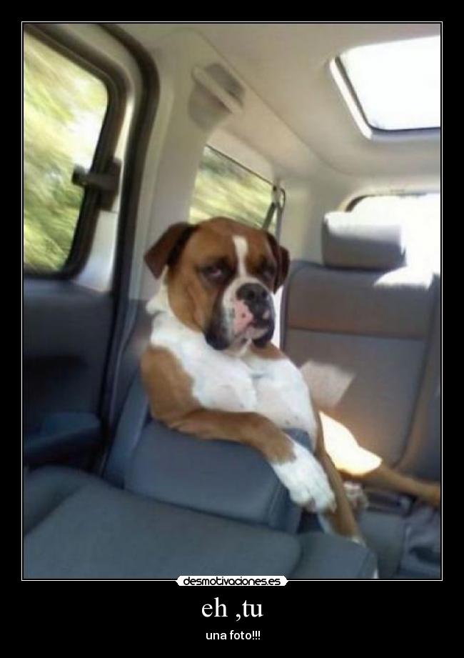 eh ,tu - una foto!!!