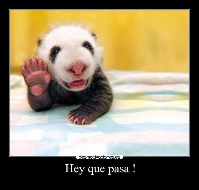 Hey que pasa ! -
