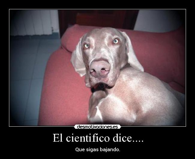El cientifico dice.... -