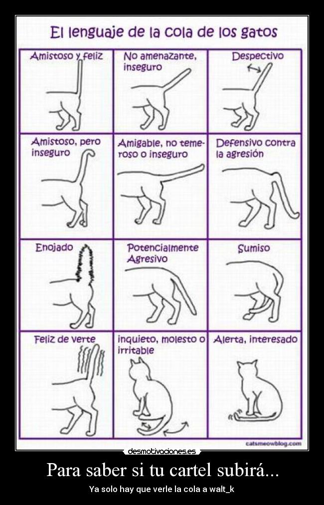 Para saber si tu cartel subirá... - 