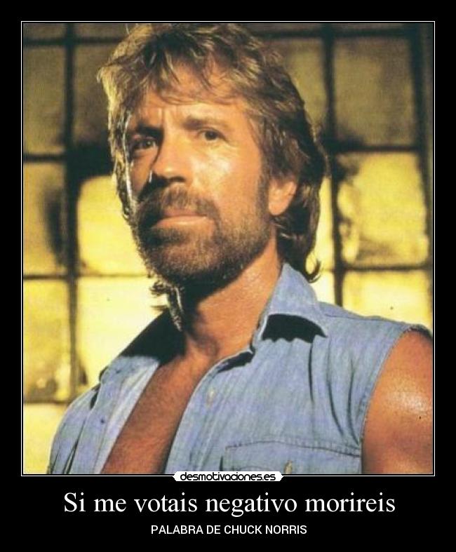 Si me votais negativo morireis - PALABRA DE CHUCK NORRIS