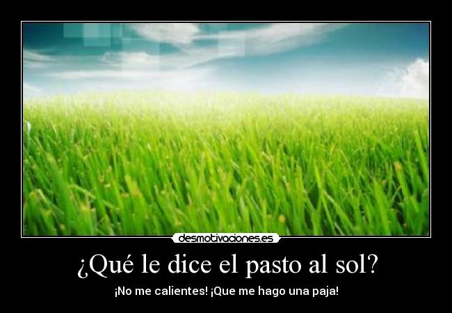 ¿Qué le dice el pasto al sol? - 