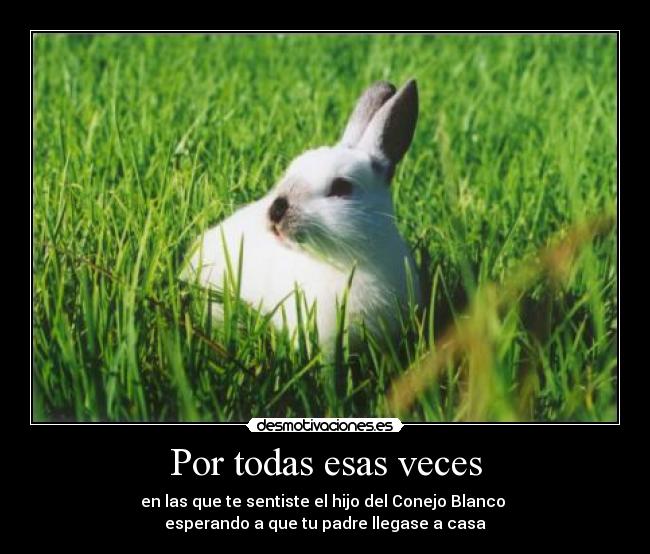 Por todas esas veces - en las que te sentiste el hijo del Conejo Blanco 
esperando a que tu padre llegase a casa