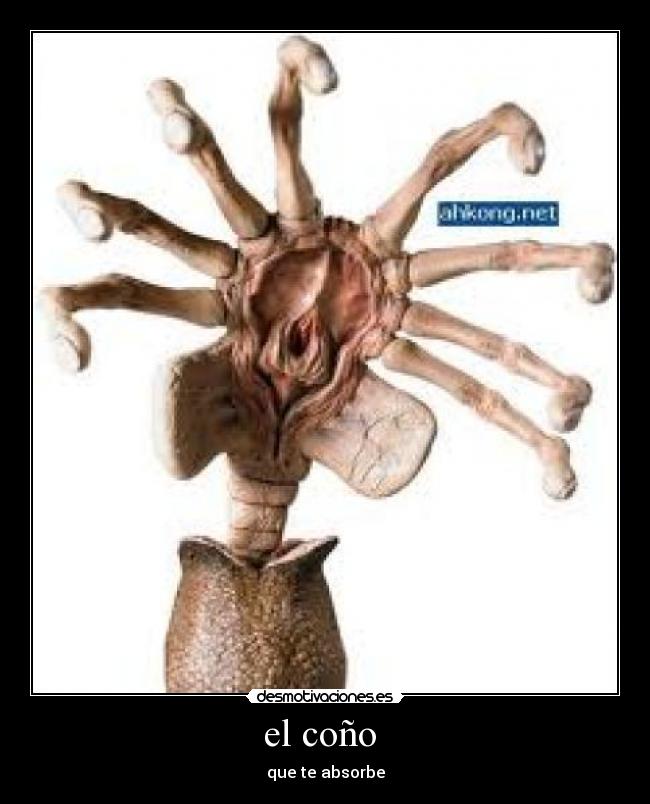 el coño  - que te absorbe