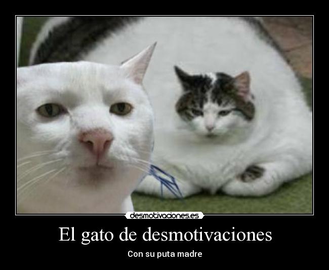carteles desmotivaciones gorda madre desmotivaciones