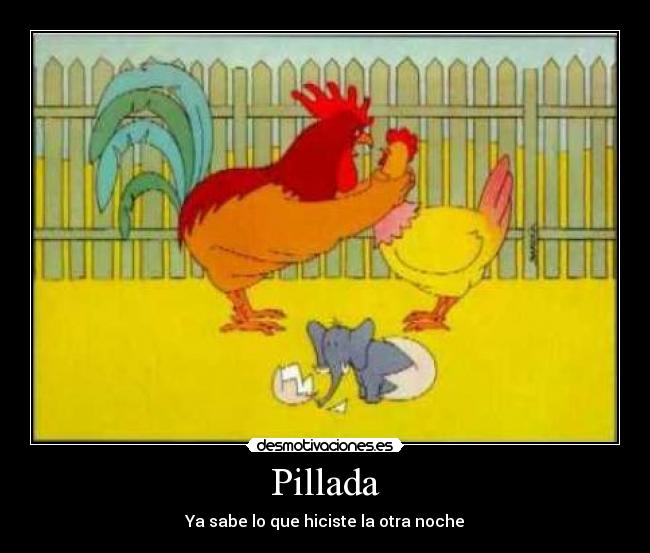 Pillada - Ya sabe lo que hiciste la otra noche