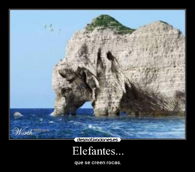 Elefantes... - que se creen rocas.