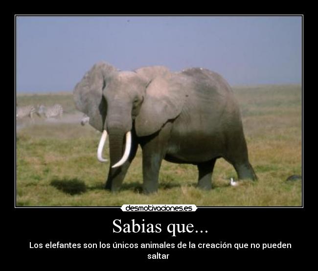 carteles afortunadamente desmotivaciones