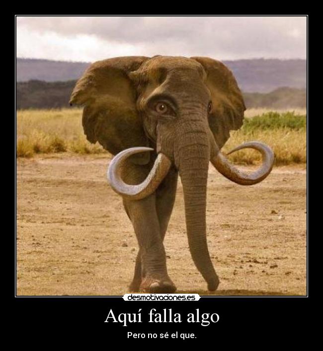 carteles elefante raro patas desmotivaciones