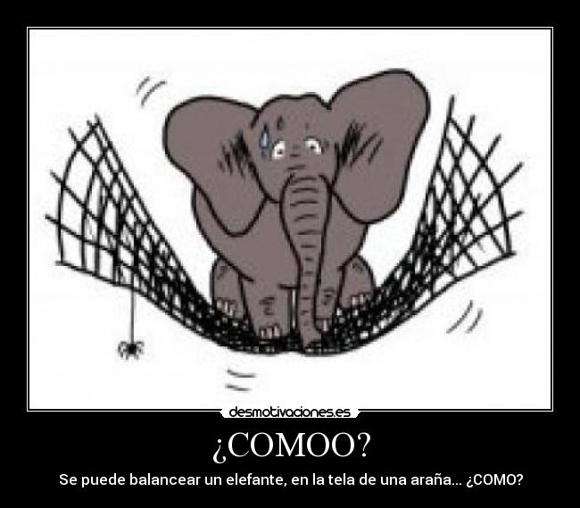 ¿COMOO? - Se puede balancear un elefante, en la tela de una araña... ¿COMO?