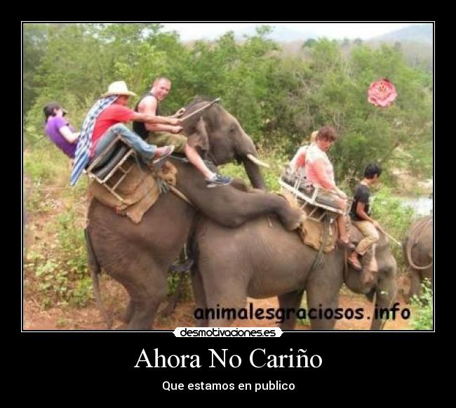 carteles ahora carino desmotivaciones