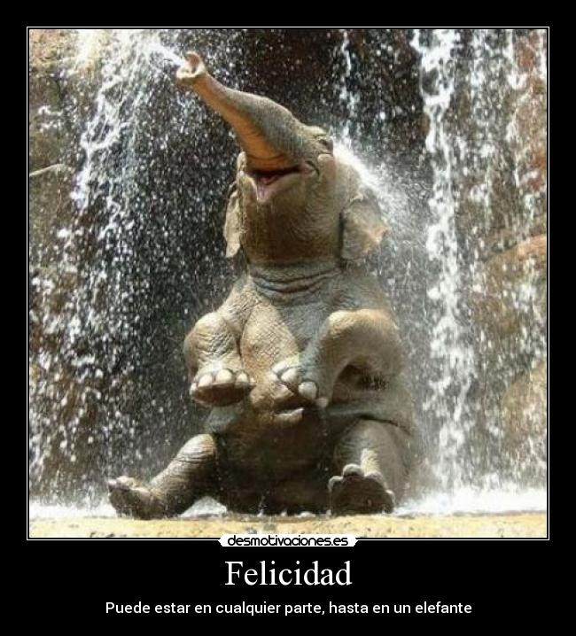 Felicidad - 