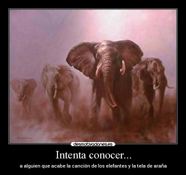 Intenta conocer... - a alguien que acabe la canción de los elefantes y la tela de araña