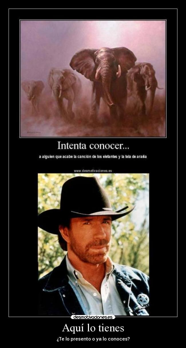 Aquí lo tienes - ¿Te lo presento o ya lo conoces?