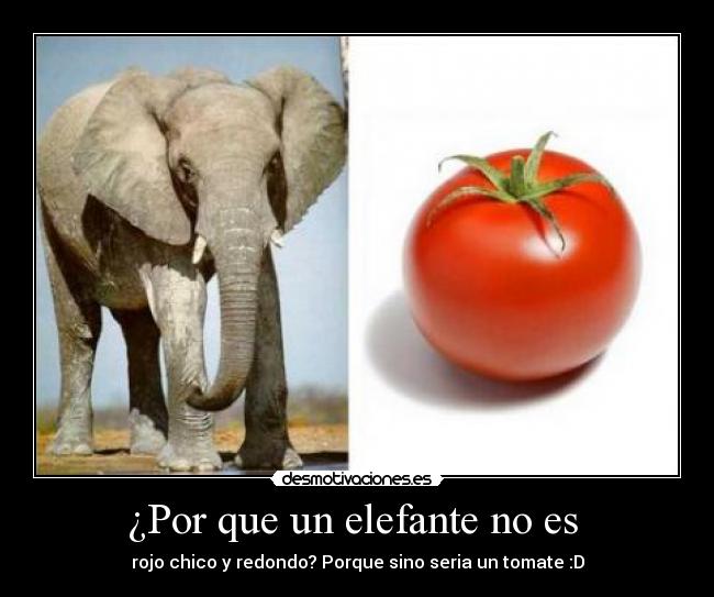 ¿Por que un elefante no es - rojo chico y redondo? Porque sino seria un tomate :D