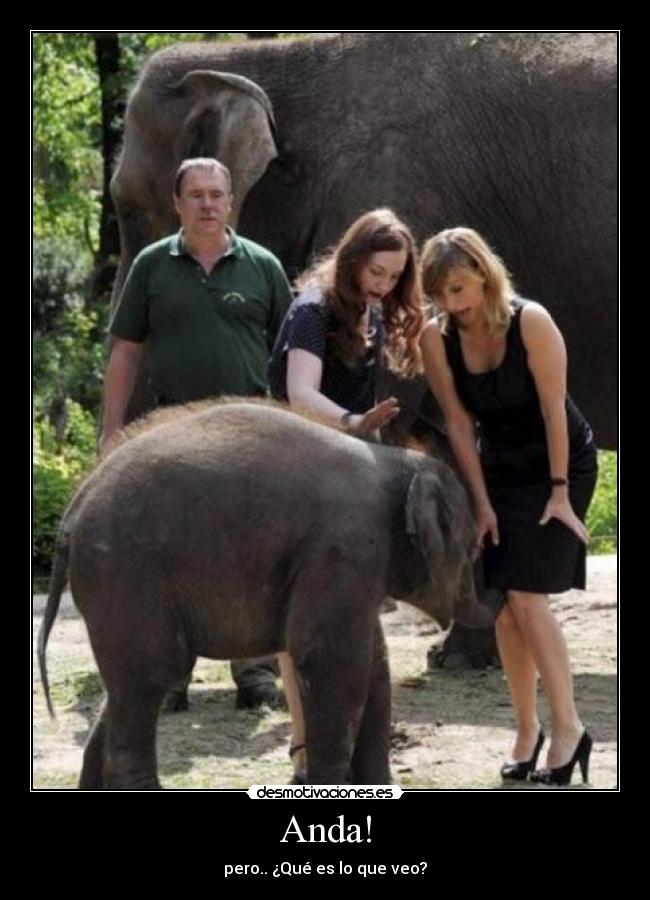 Anda! - pero.. ¿Qué es lo que veo?