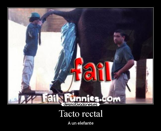 Tacto rectal -