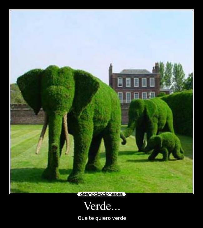 Verde... - 