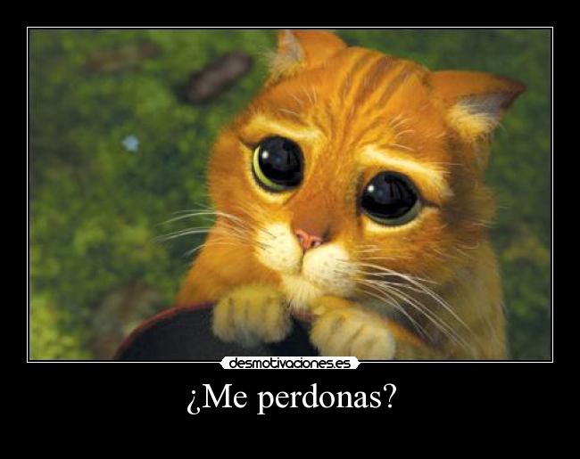 ¿Me perdonas? - 