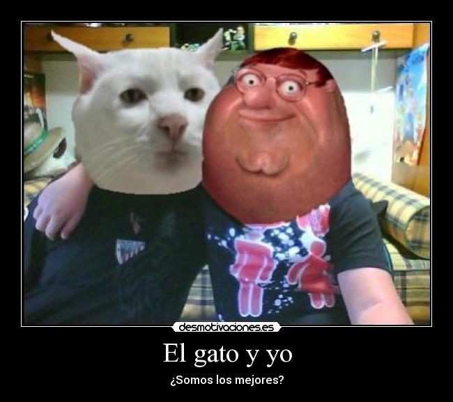 El gato y yo - 