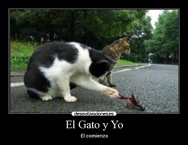 El Gato y Yo -