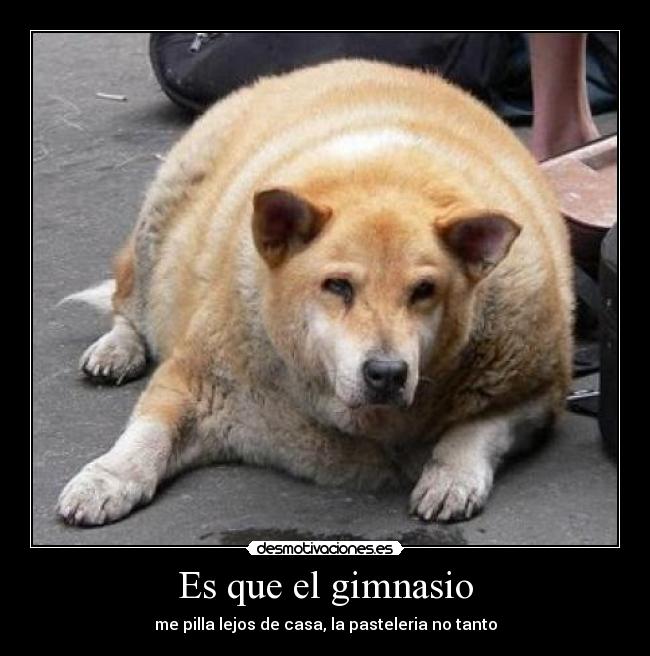 Es que el gimnasio -