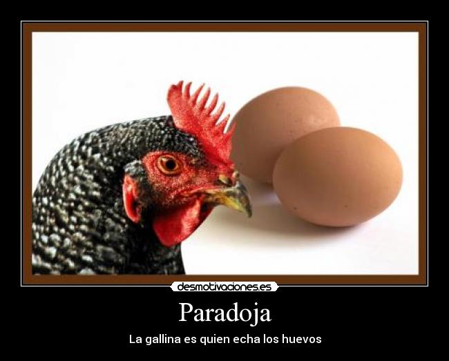 Paradoja - La gallina es quien echa los huevos