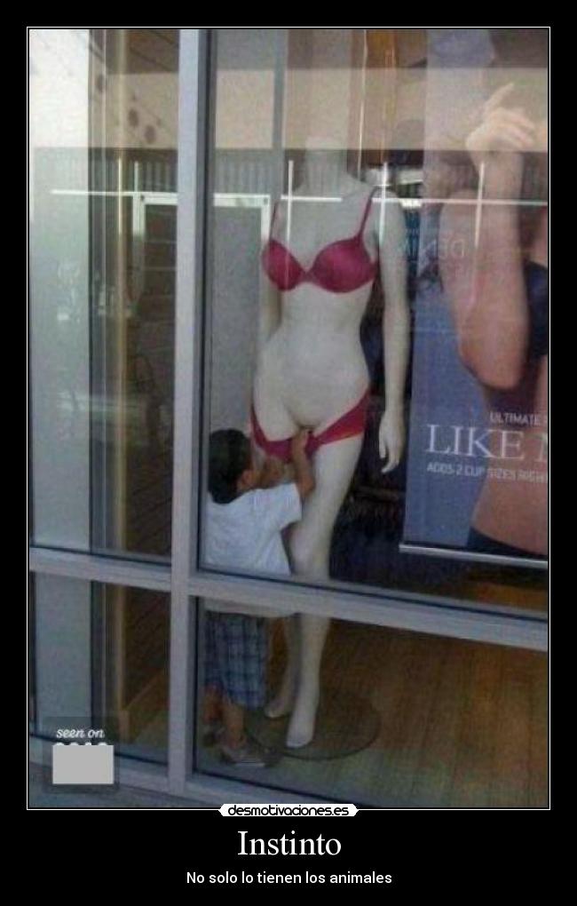 Instinto -