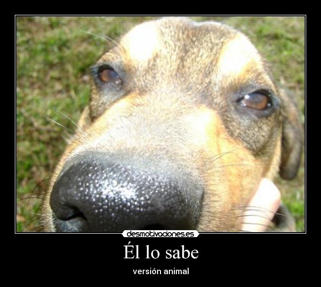 Él lo sabe -