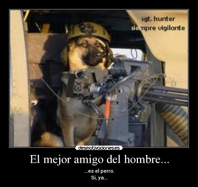 El mejor amigo del hombre... - ...es el perro.
Si, ya...